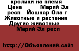 кролики на племя › Цена ­ 200 - Марий Эл респ., Йошкар-Ола г. Животные и растения » Другие животные   . Марий Эл респ.